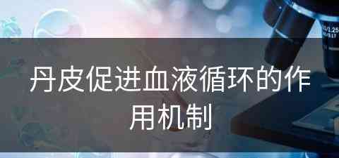 丹皮促进血液循环的作用机制